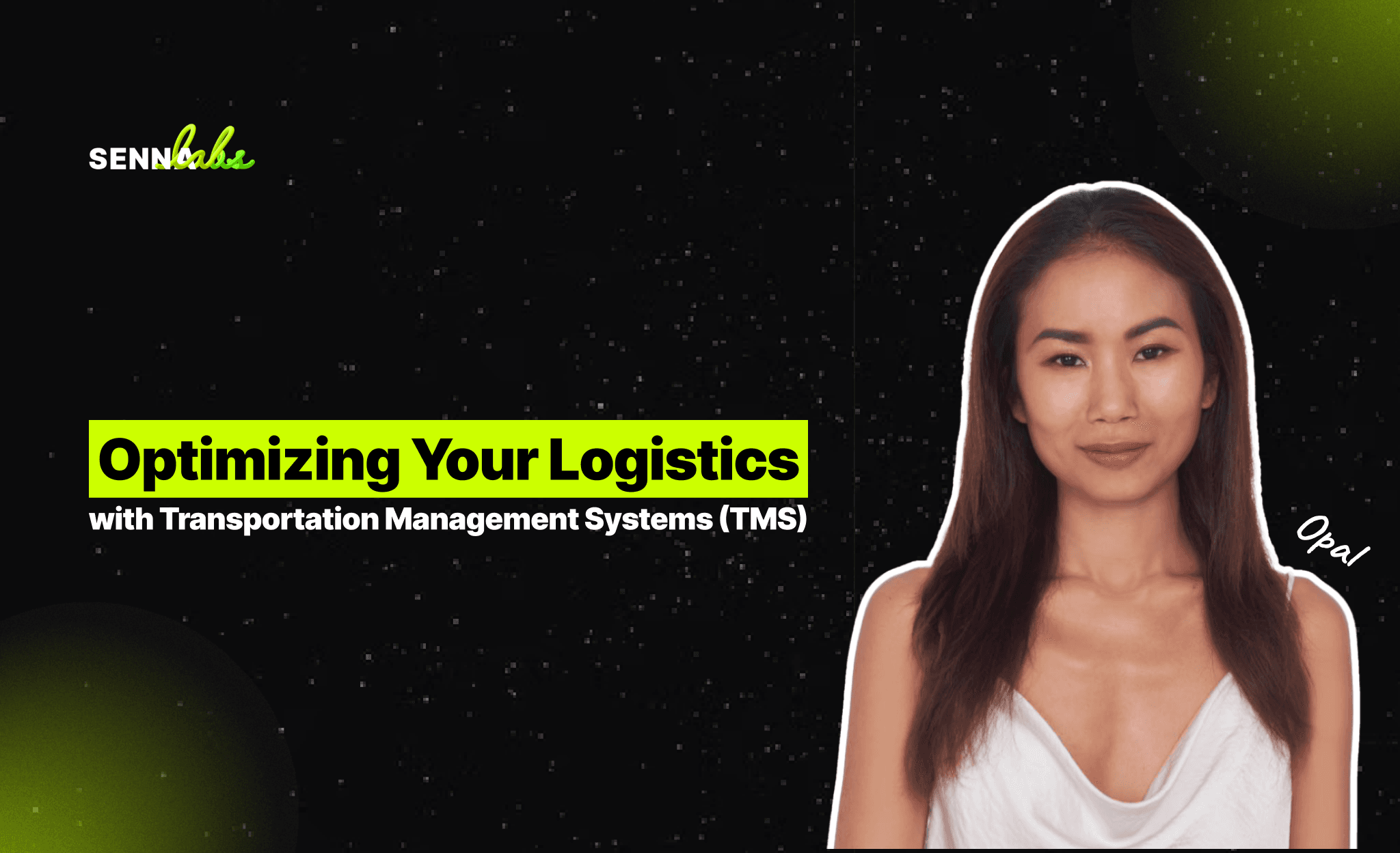 Optimizing Your Logistics with Transportation Management Systems (TMS)