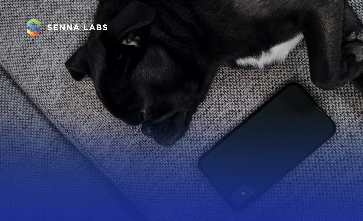 'Dog phone' อุปกรณ์ที่ช่วยให้สุนัขขี้เหงาโทรหาเจ้าของได้