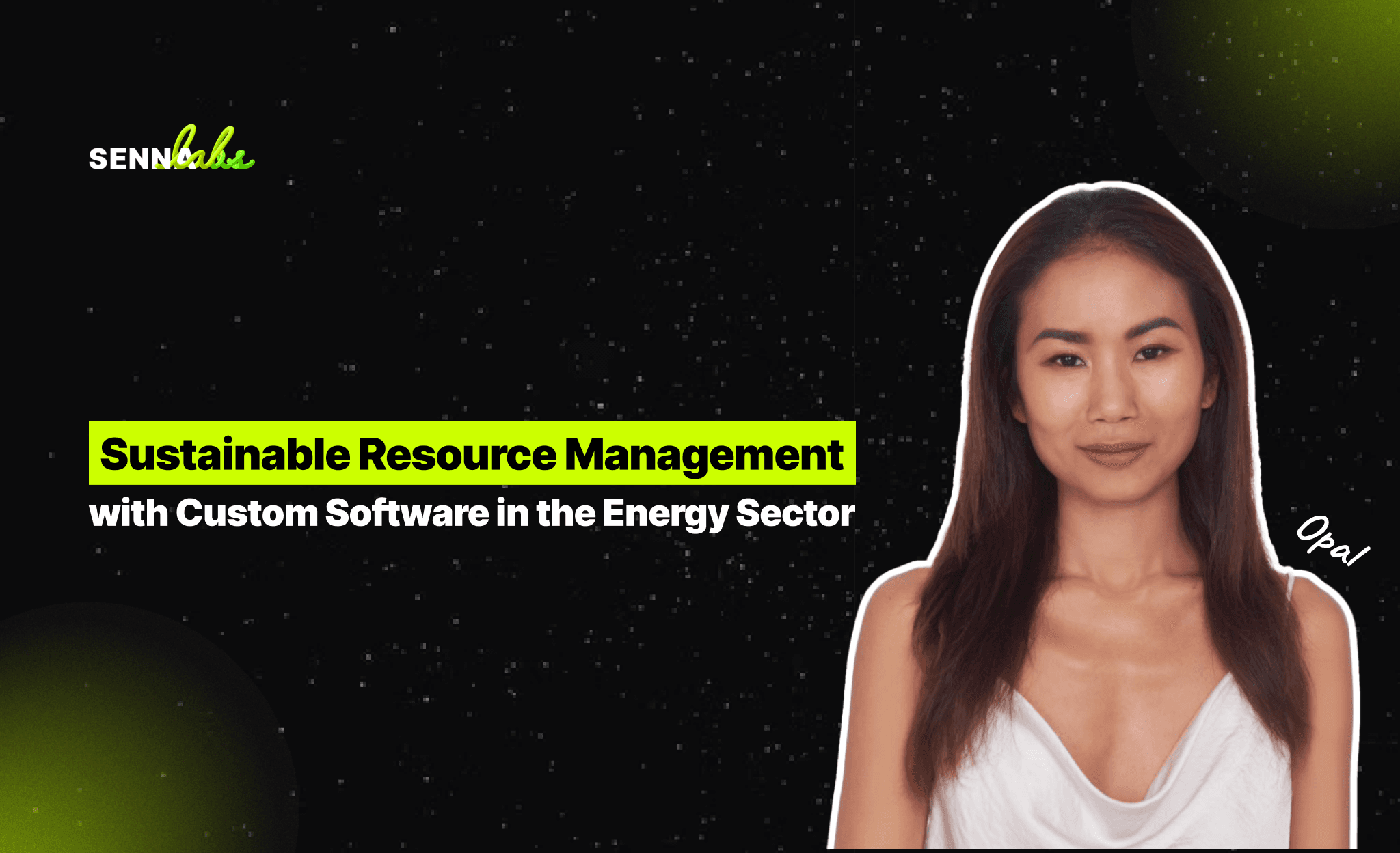 Sustainable Resource Management with Custom Software in the Energy Sector