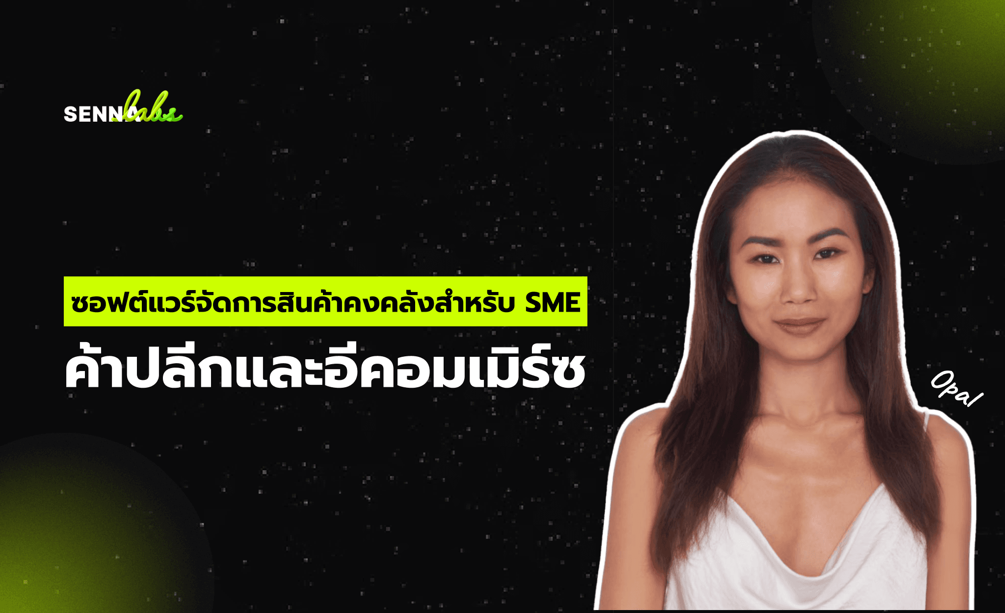 ซอฟต์แวร์จัดการสินค้าคงคลังสำหรับ SME ค้าปลีกและอีคอมเมิร์ซ