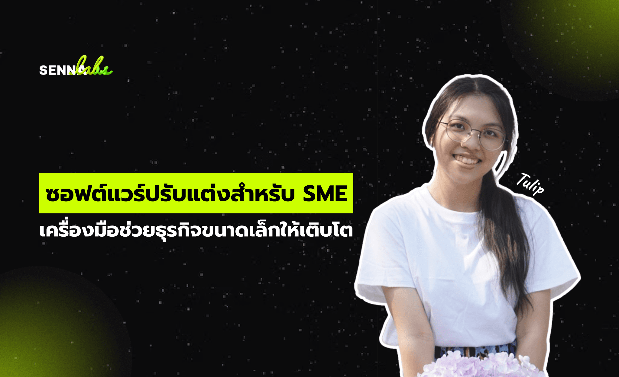 ซอฟต์แวร์ปรับแต่งสำหรับ SME: เครื่องมือช่วยธุรกิจขนาดเล็กให้เติบโต