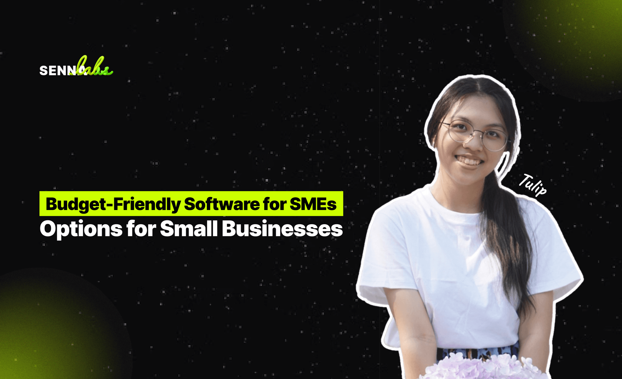 Budget-Friendly Software for SMEs: Options for Small Businesses