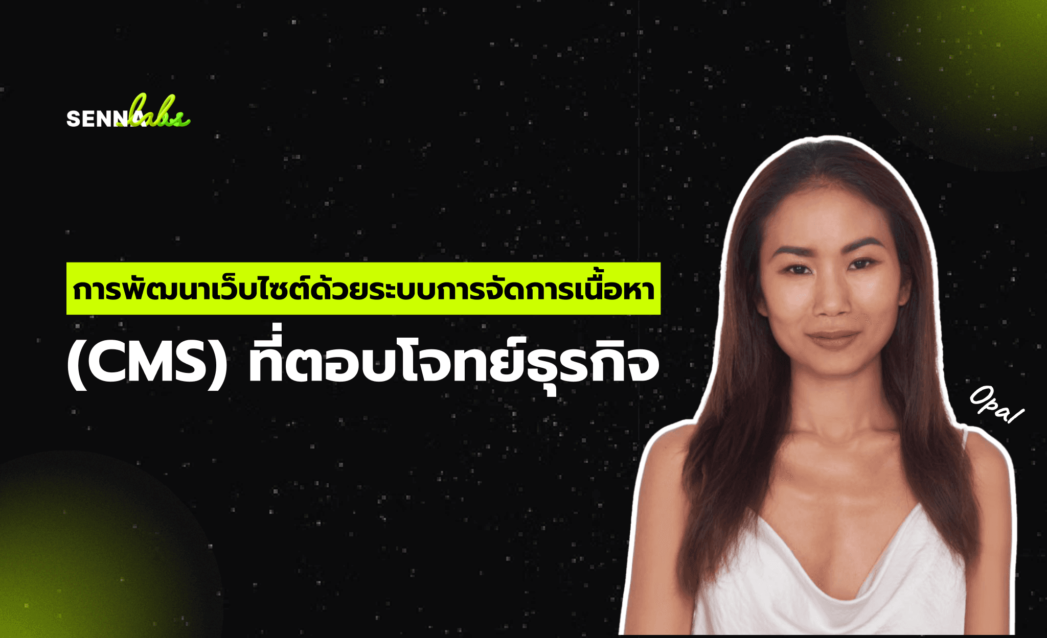 การพัฒนาเว็บไซต์ด้วยระบบการจัดการเนื้อหา (CMS) ที่ตอบโจทย์ธุรกิจ