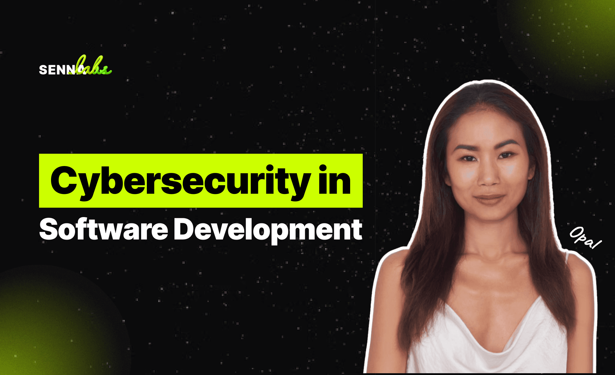 Cybersecurity in Software Development