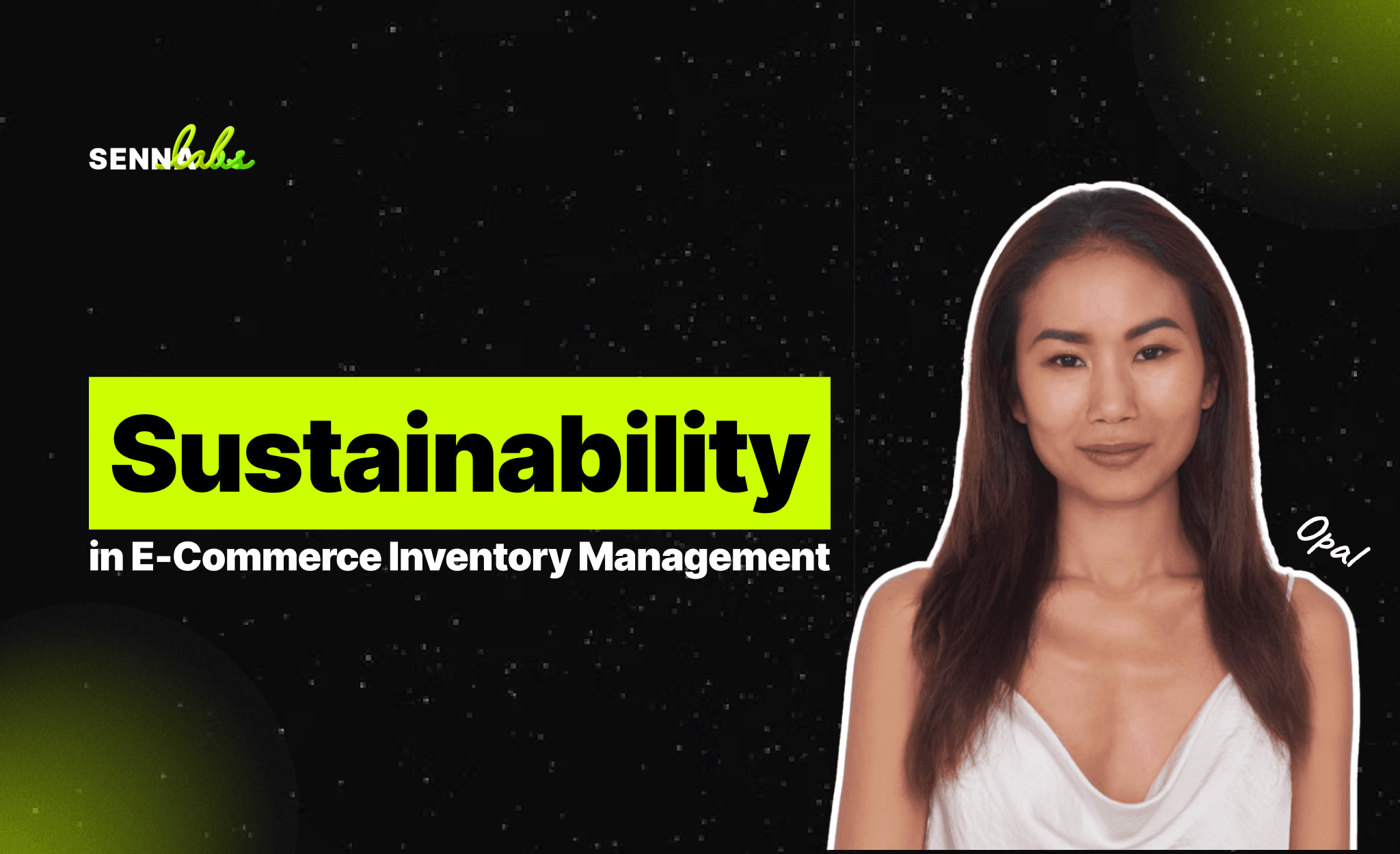 Sustainability in E-Commerce Inventory Management