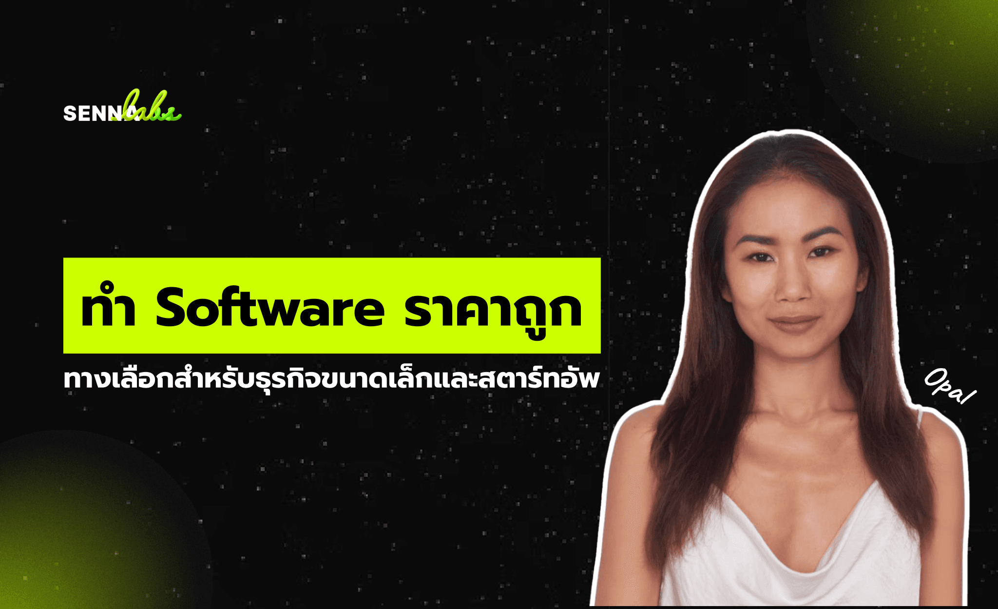 ทำ Software ราคาถูก: ทางเลือกสำหรับธุรกิจขนาดเล็กและสตาร์ทอัพ