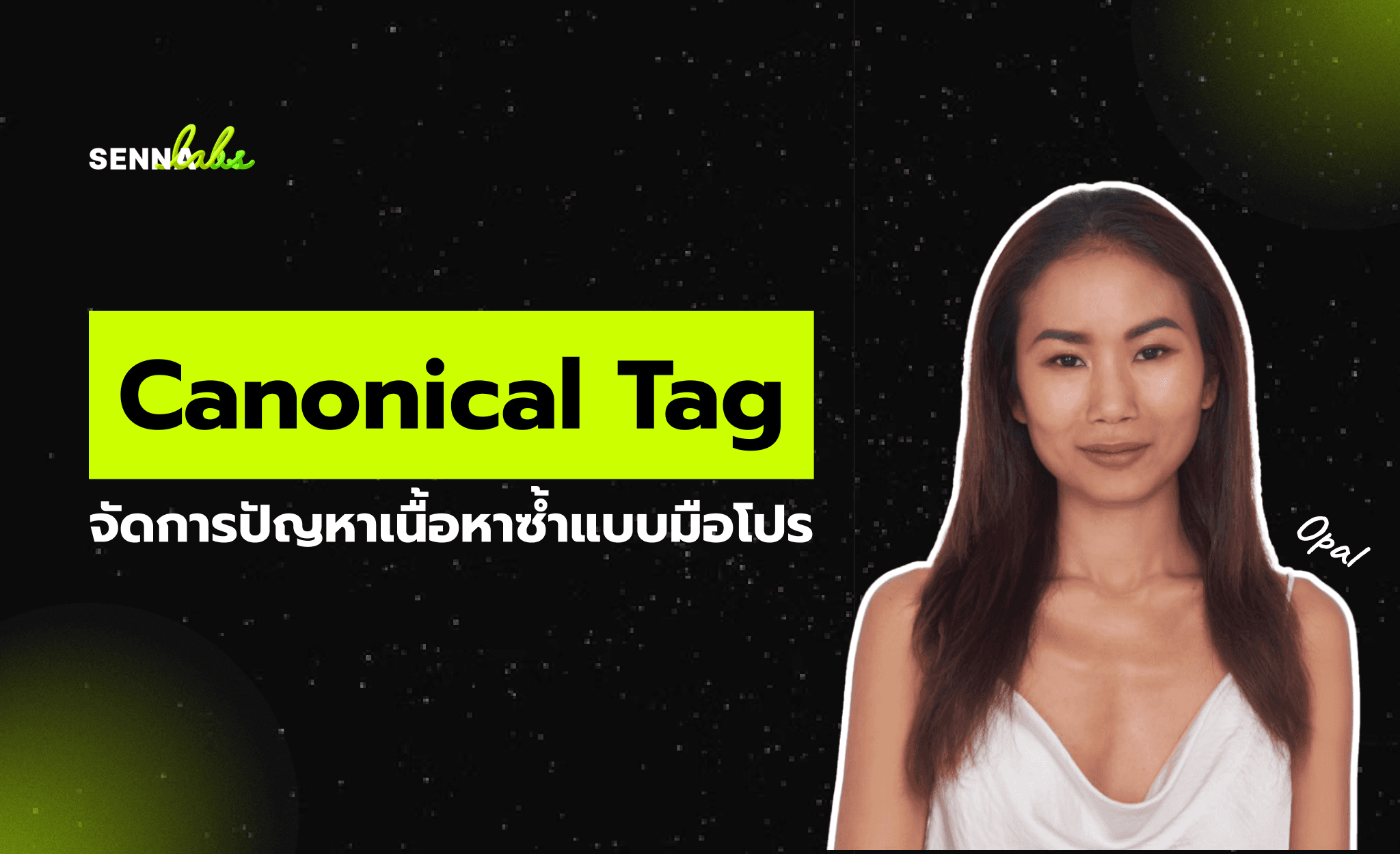 Canonical Tag: จัดการปัญหาเนื้อหาซ้ำแบบมือโปร