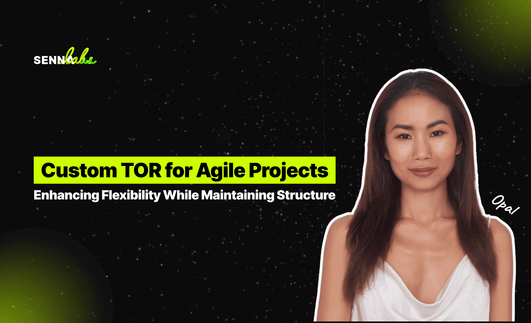 Custom TOR for Agile Projects: Enhancing Flexibility While Maintaining Structure