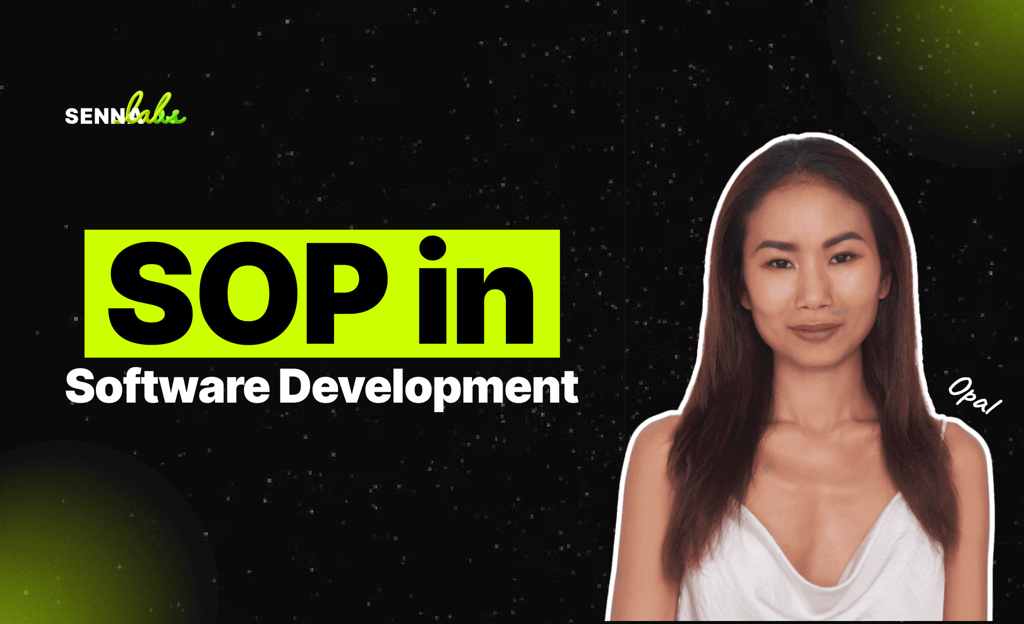 Standard Operating Procedures (SOP) in Software Development: Ensuring Quality and Consistency