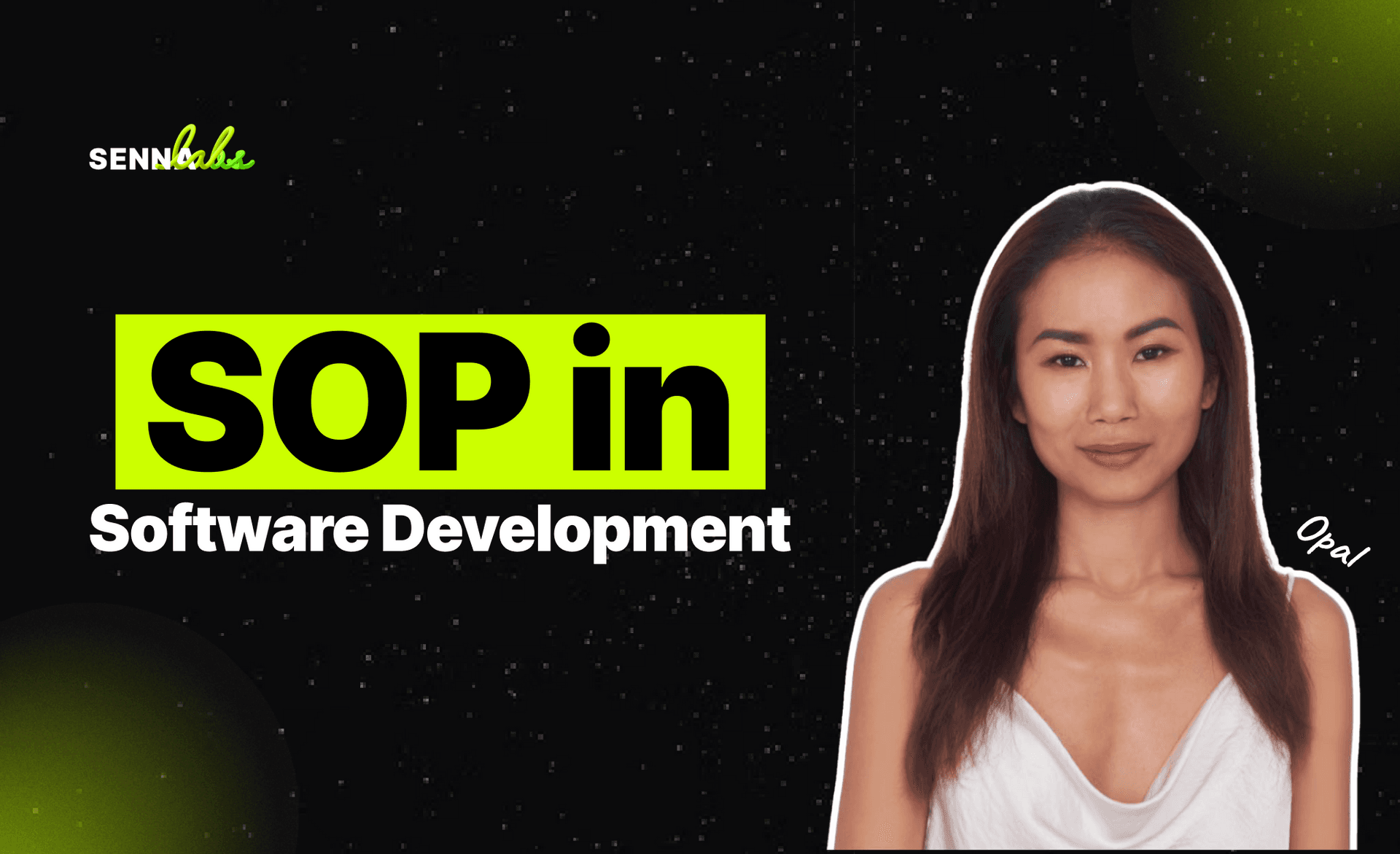 Sw Develop Sop Blog - Standard Operating Procedures (SOP) in Software Development ...